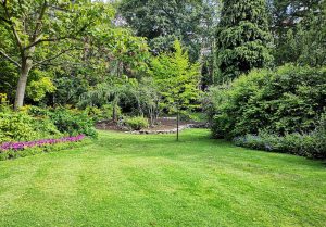 Optimiser l'expérience du jardin à Saint-Priest-la-Roche